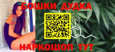 стафф Ставрополь